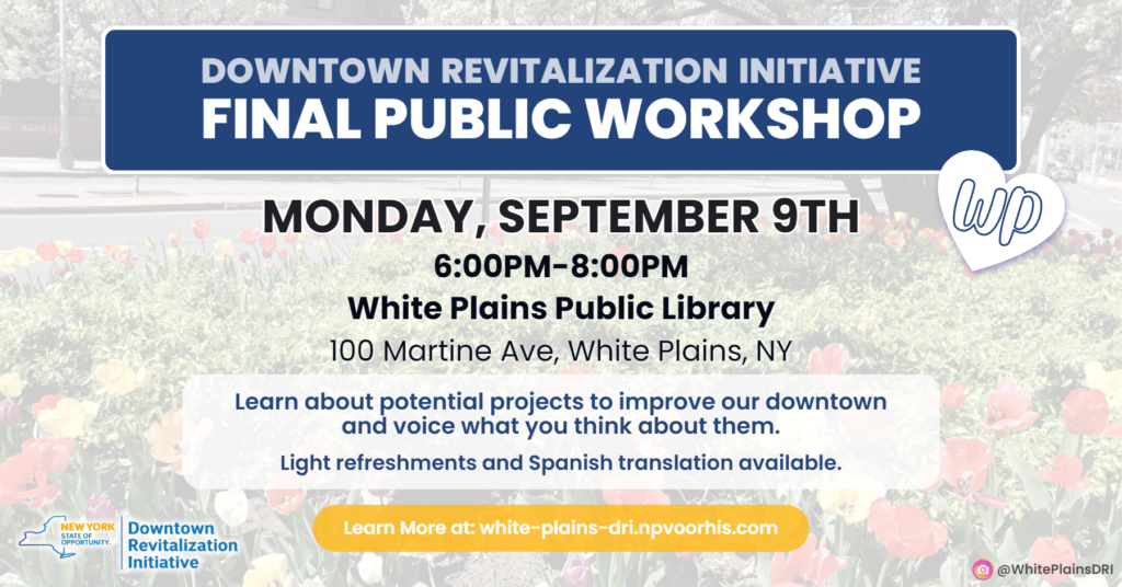 DOWNTOWN REVITALIZATION INITIATIVE FINAL PUBLIC WORKSHOP